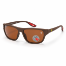 Ray Ban 3576